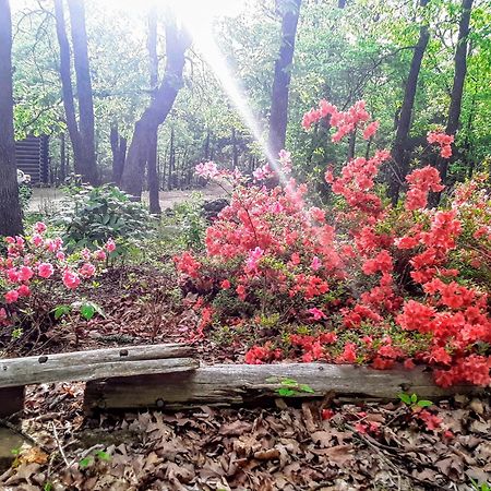 Cherokee Mountain Log Cabins ยูเรกาสปริงส์ ภายนอก รูปภาพ