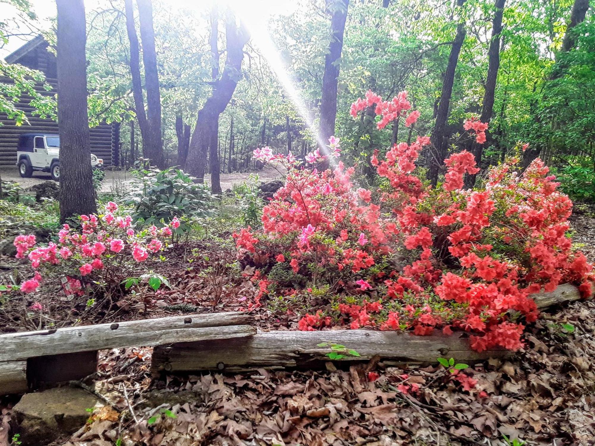 Cherokee Mountain Log Cabins ยูเรกาสปริงส์ ภายนอก รูปภาพ