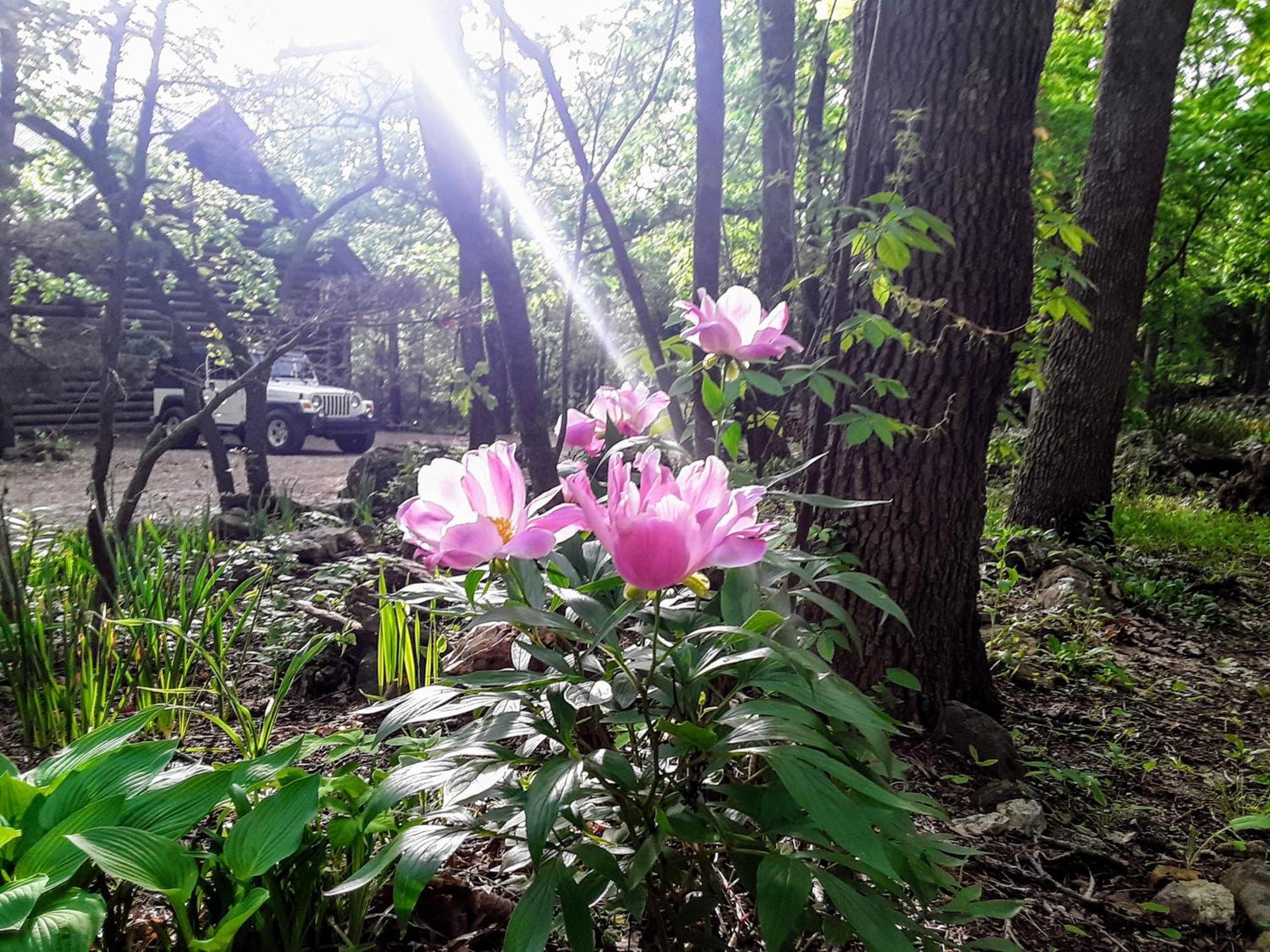 Cherokee Mountain Log Cabins ยูเรกาสปริงส์ ภายนอก รูปภาพ